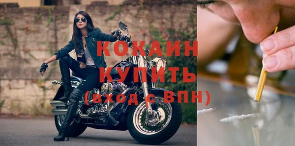спайс Арсеньев