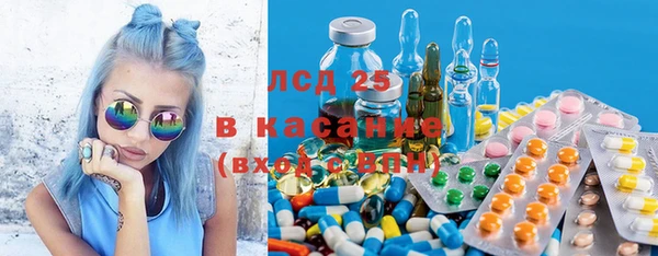мяу мяу мука Аркадак