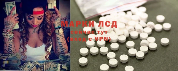 мяу мяу мука Аркадак