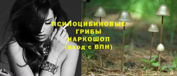 хмурый Армянск