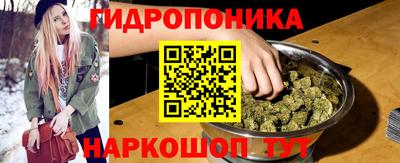 амф Заволжье