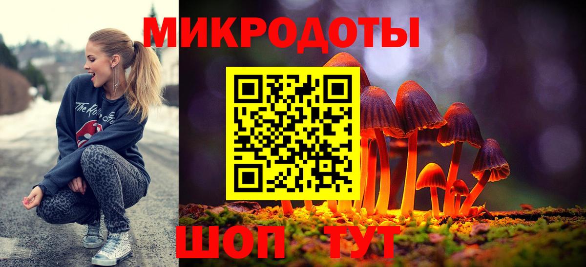Псилоцибиновые грибы мицелий Мытищи