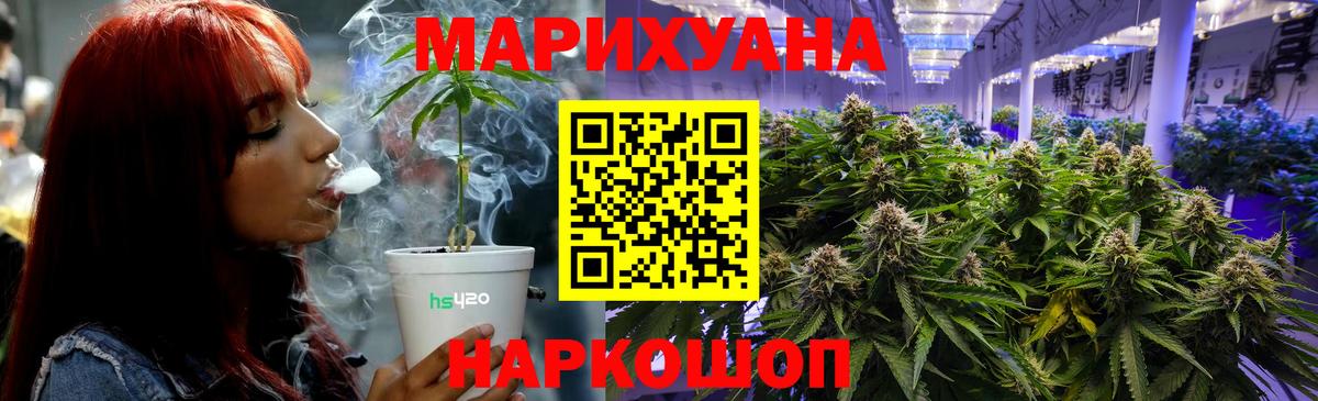 Каннабис план  Конопля White Widow  Мытищи  Вход с VPN  Бошки Шишки White Widow  Каннабис White Widow 